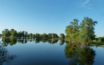 Model for the restoration of wetlands of the Volga-Akhtuba floodplain