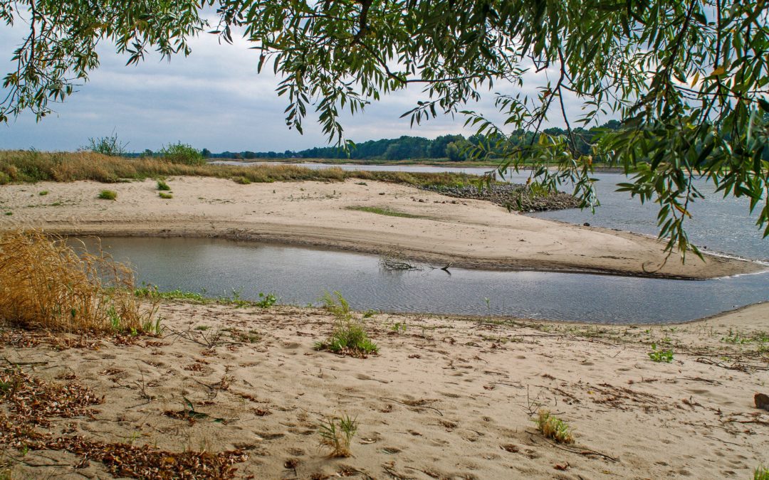Middle Elbe large-scale nature conservation project