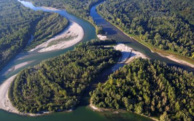 Cooperation across borders along Mura, Drava and Danube