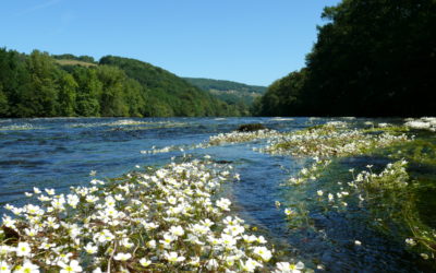 Ecological restoration of the former gravel pit in Veyrignac