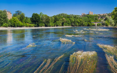 Forward-looking approach in the Dordogne Basin Biosphere Reserve