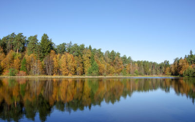 Prioksko-Terrasnyi BR, rurality close to the city